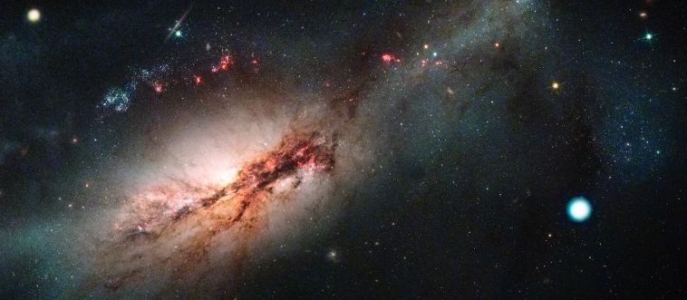 If You Ace Every Question on This Science Quiz, You’re a True Mastermind!