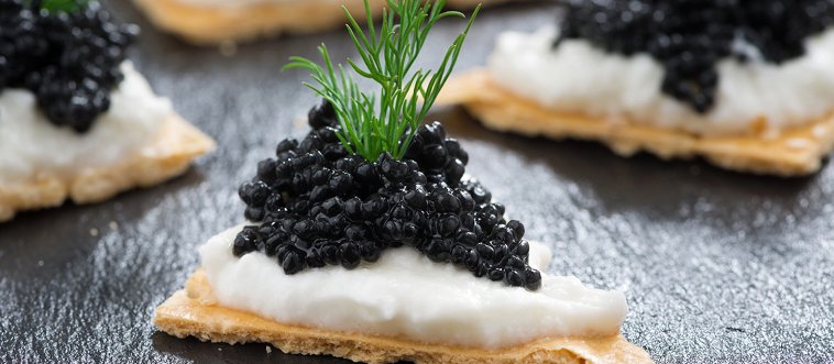 Can you identify this A-list delicacy?